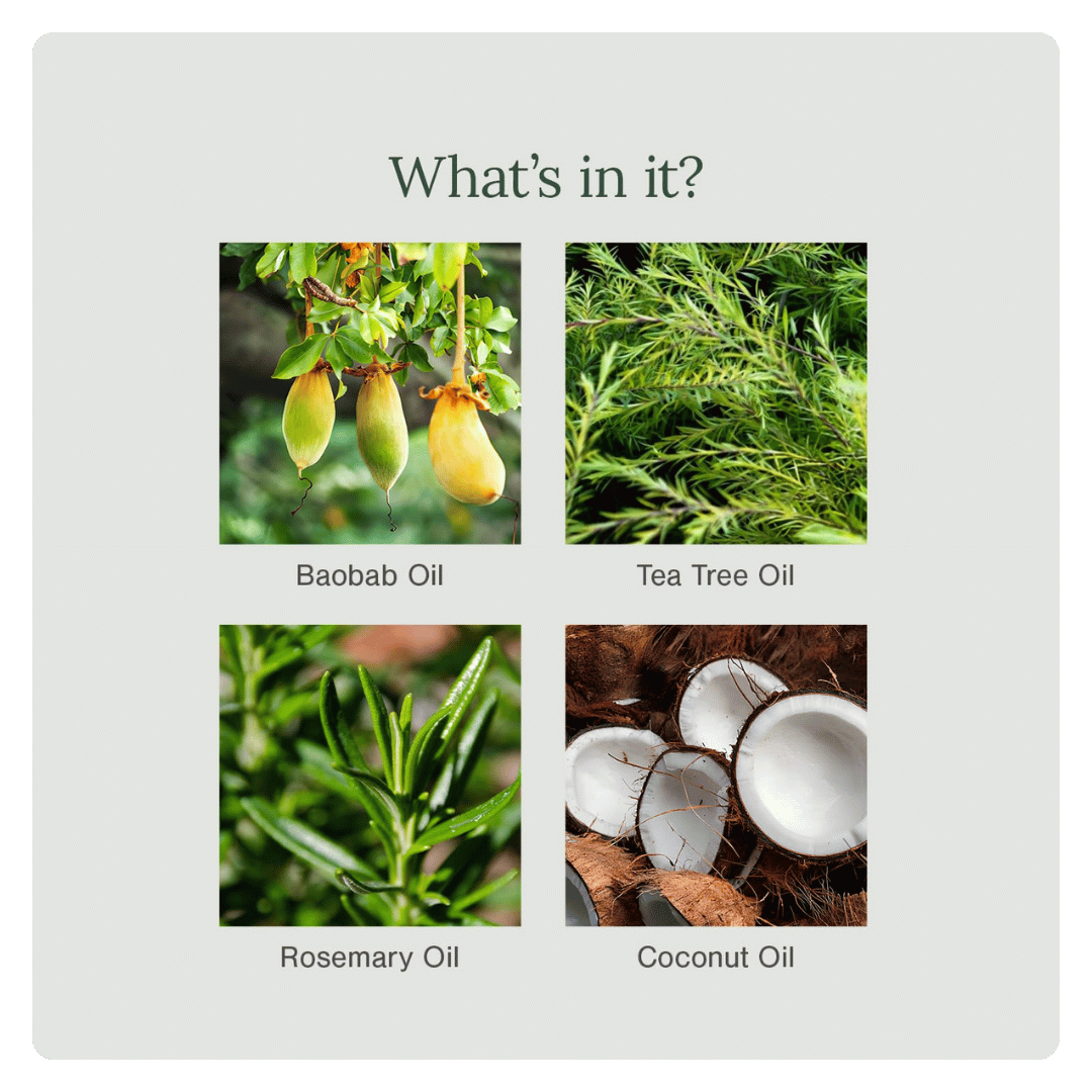 Anti-Dandruff Shampoo with Baobab, Rosemary & Tea Tree (All Hair) - Image 4