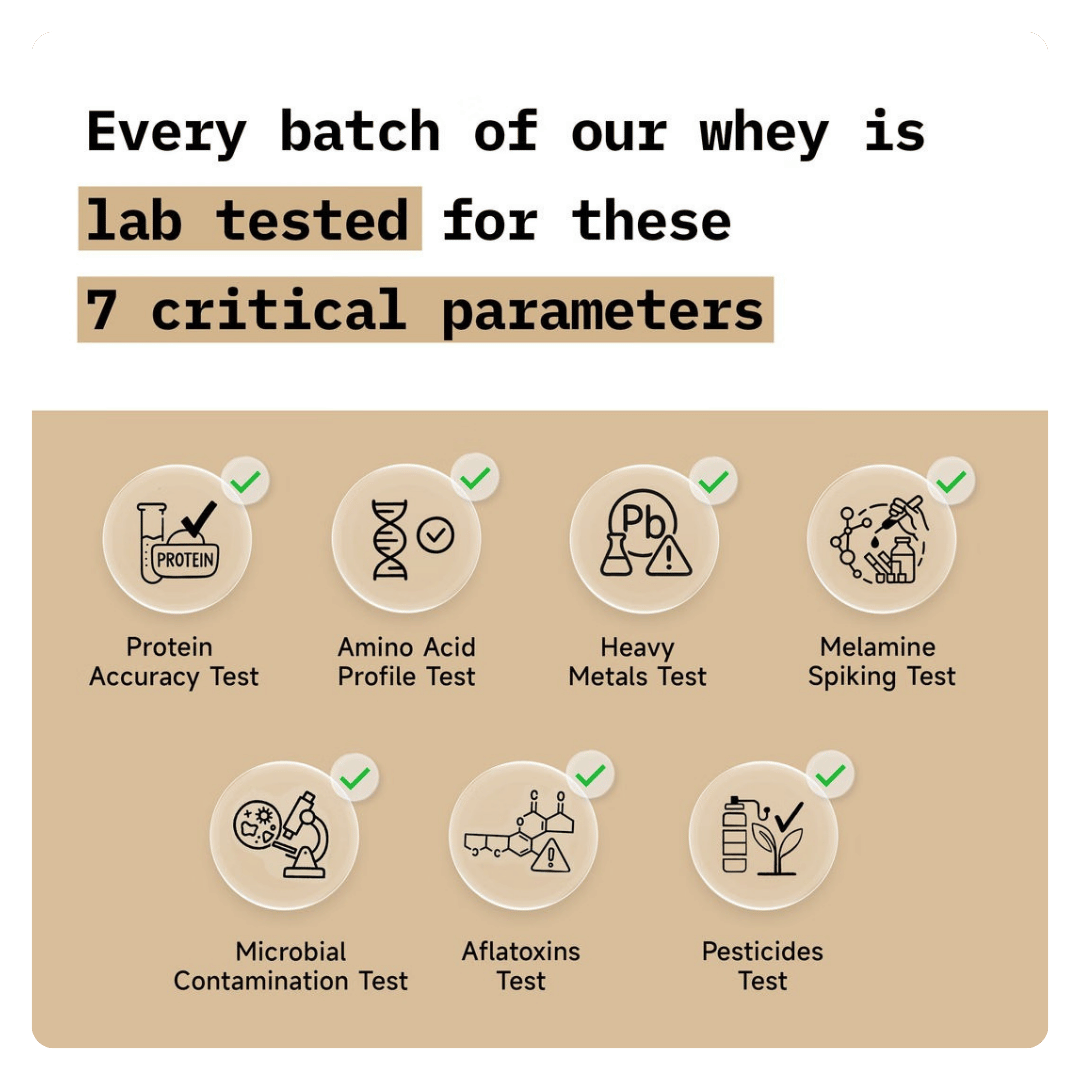 Whey Protein Coffee – 24g Protein, Real Coffee, No Additives (1kg) - Image 2